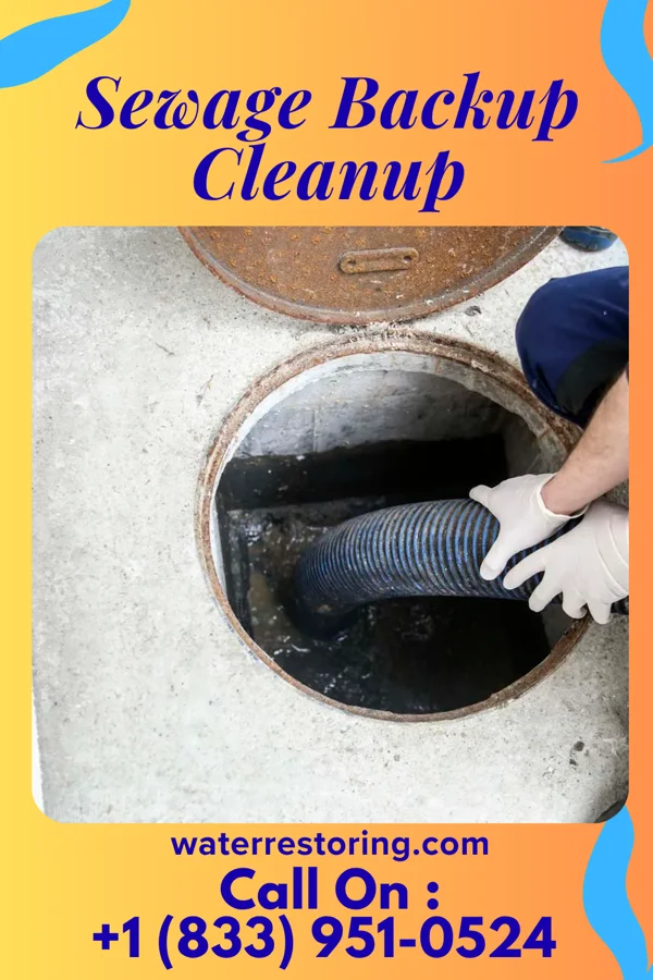 Sewage Backup Cleanup in Armour, SD